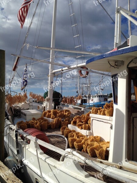 Tarpon Springs Florida Sponges Boats Free Photos