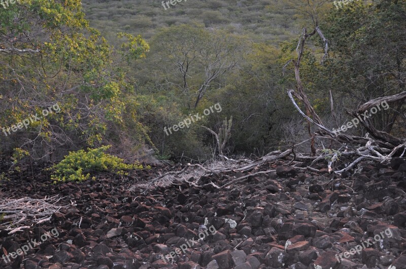 Serra Black Source Volcanic Free Photos