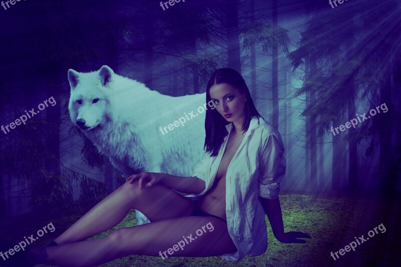 Wolf And Girl Free Photos