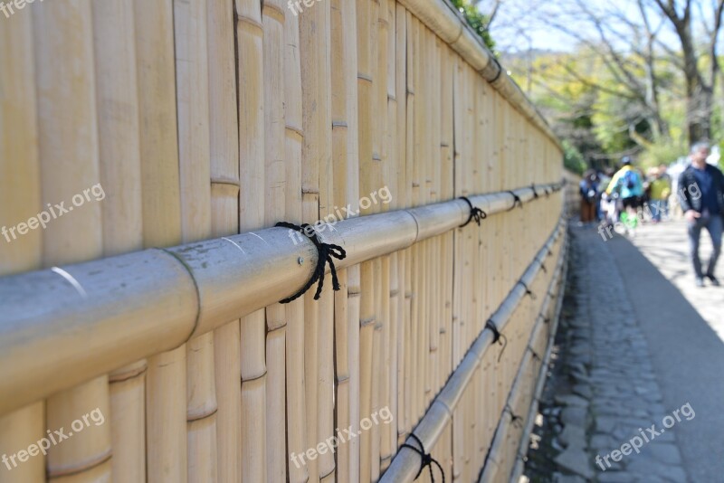 Bamboo Fence Diagonal Bamboo Wall Wall