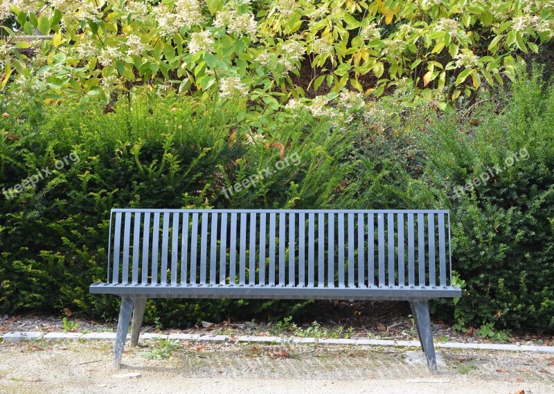 Public Bench Sitting Relax Park Relaxation