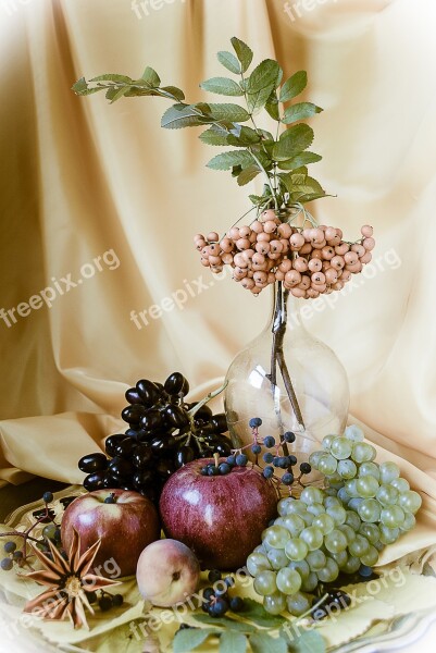 Still Life Grapes Apples Fruit Berry