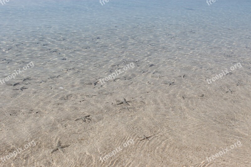 Star Fish Clear Ocean Beach Sand