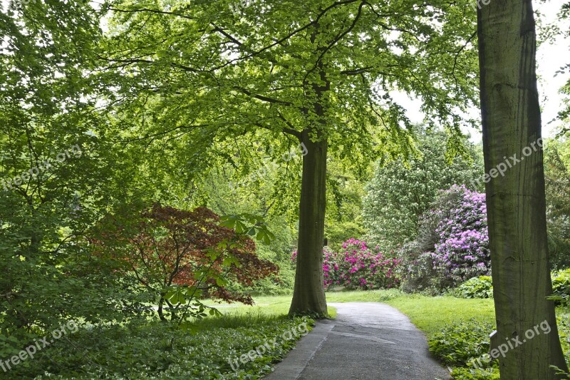 Landscape Trees Wood Pathway Stately Home