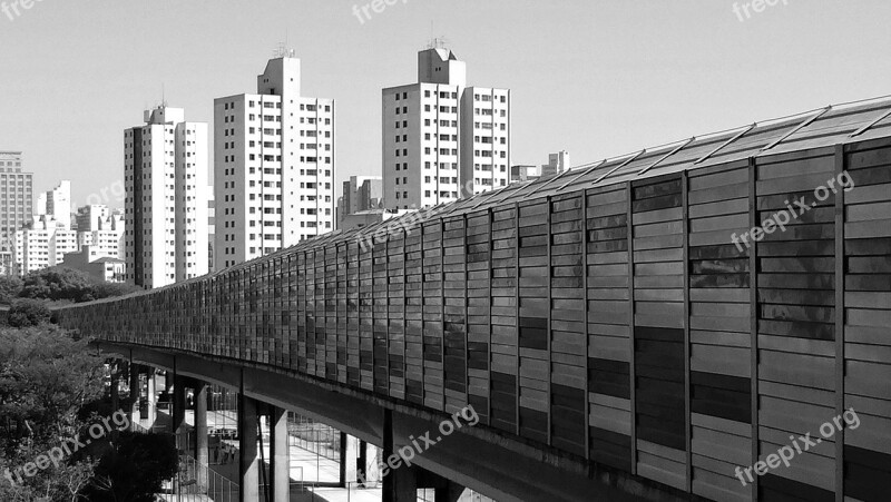 Subway Viaduct Transport São Paulo Sp