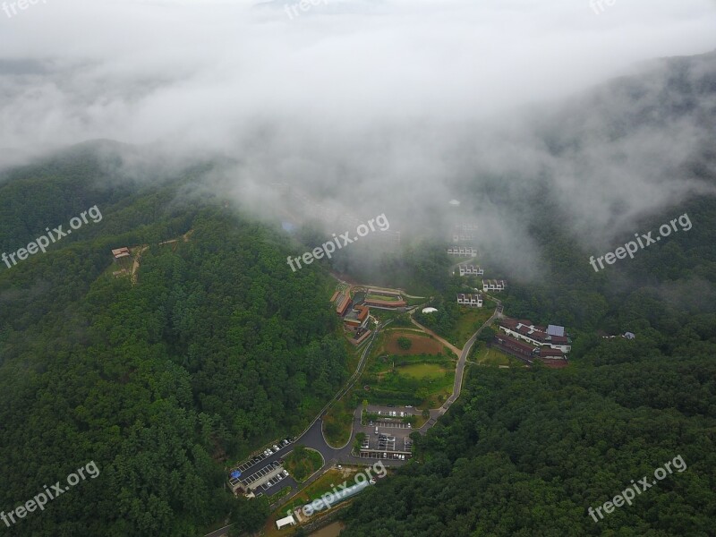 Forest Cloud Mountain Aerial Photo Free Photos