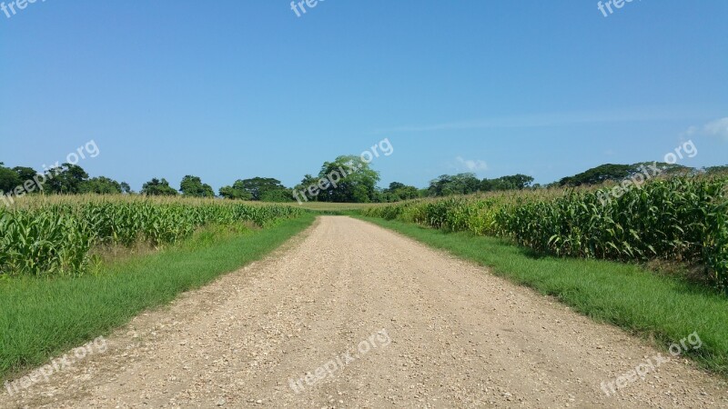 Crops Farming Belize Road Gravel Road