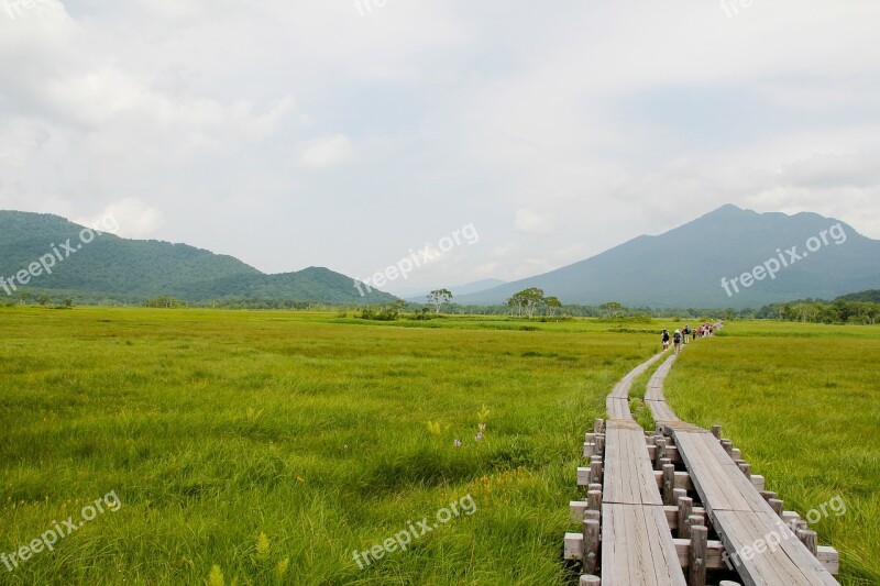 Oze Oze Road Wooden Path Free Photos