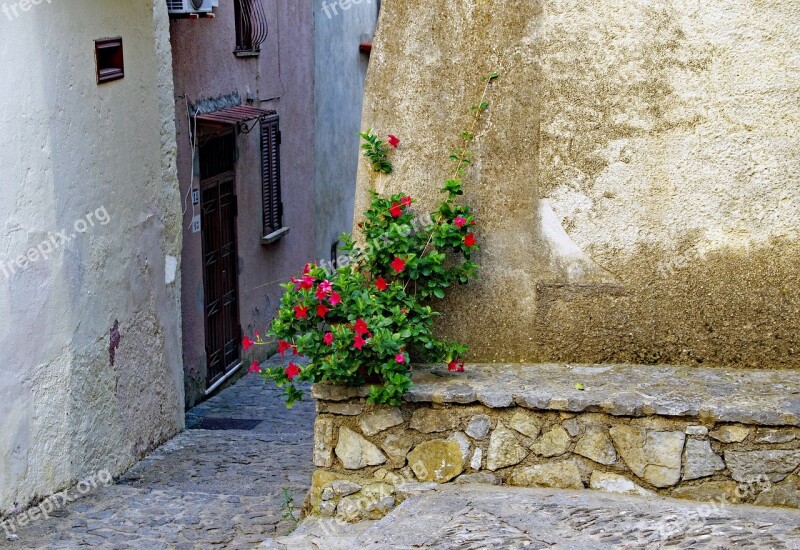 Alley Glimpse Scalea Old Town Hibiscus