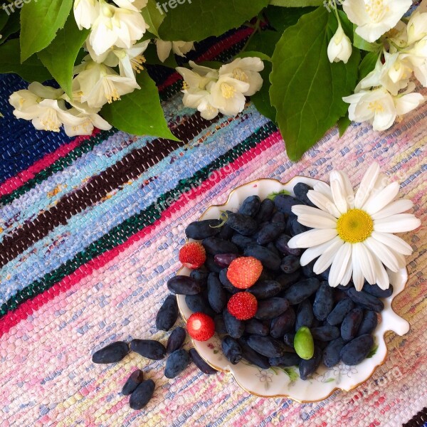 Honeysuckle Berry Flowers Summer Harvest