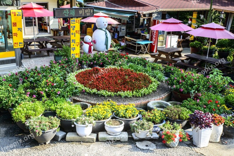 Flower Garden Garden Background Travel Flowers