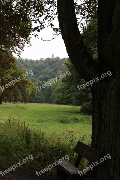 Hiking Break Resting Place Recovery Idyllic