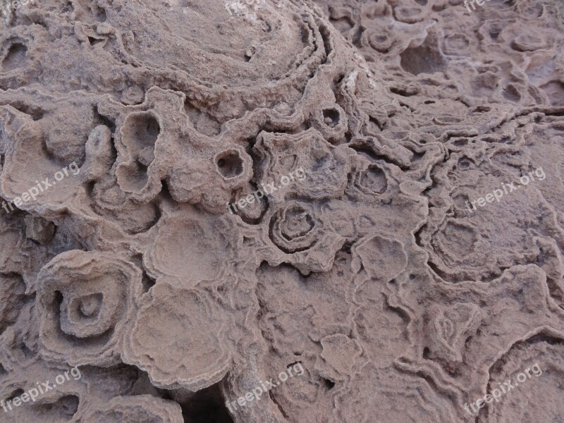 Desert Roses Sahara Gypsum Structure Free Photos