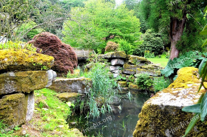 Chatsworth Gardens Plants Pond Secluded Water