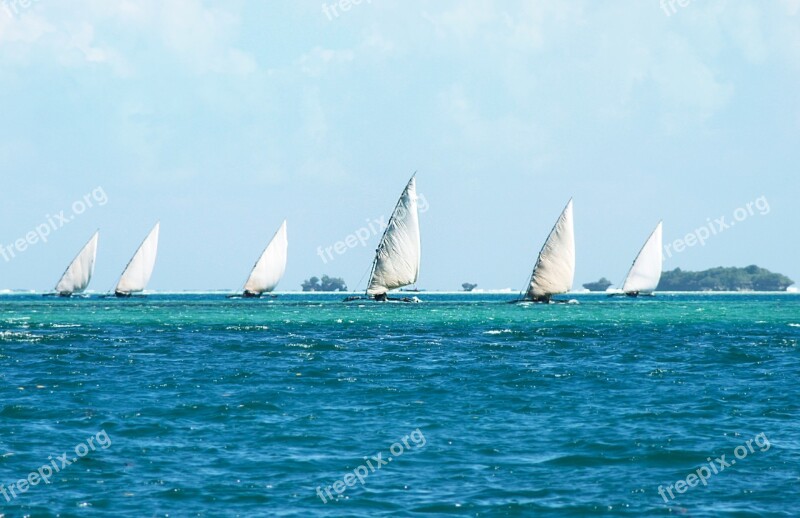 Sea Dhow Dau Tanzania Africa