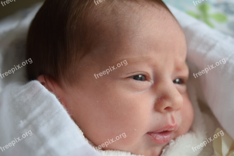 Baby Newborn Infant Newborn Baby Portrait