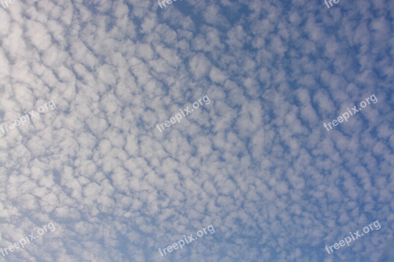 White Clouds Clouds Sky Cloudy Sky Sheep