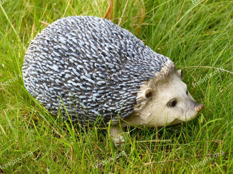 Hedgehog Figure Garden Grass Summer