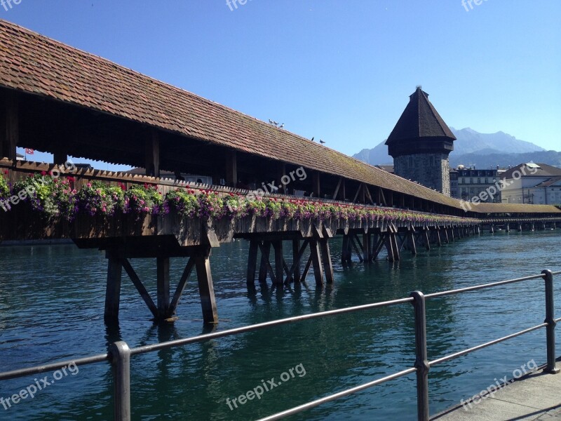 Switzerland Lucerne Lake Florida Free Photos