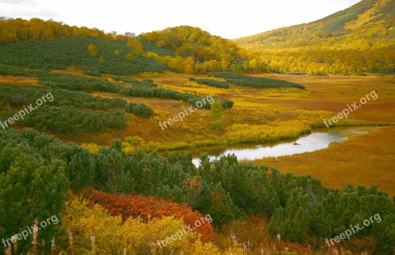 Lake Mountains Tundra River Forest