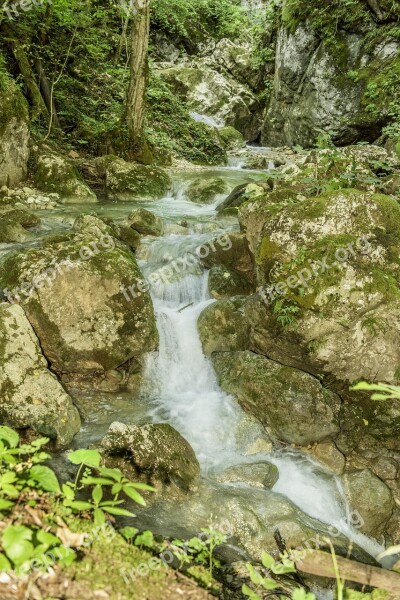 Waterfall Bear Protective Gorge Austria Styria Water Spray