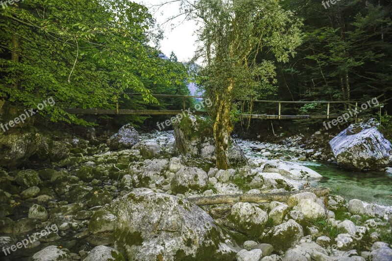 Water Inject Forest Landscape Nature