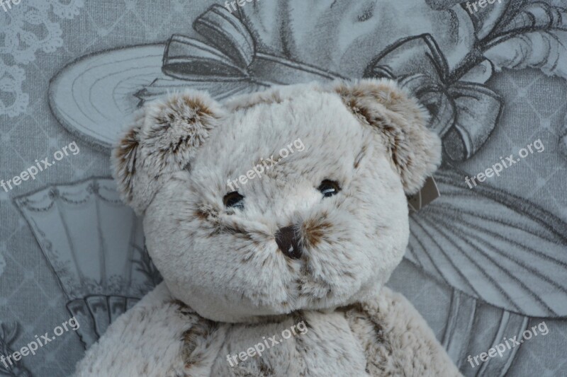 Bear Plush Head Doudou Hug Soft