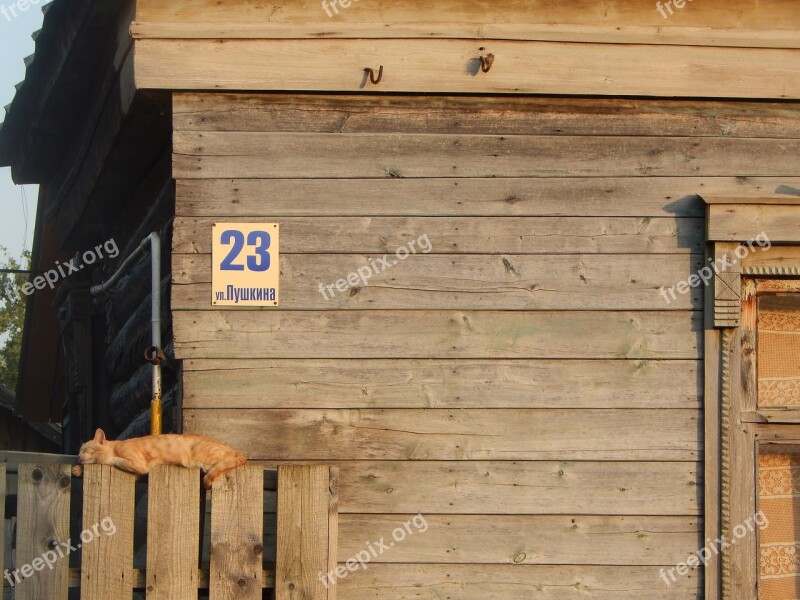 Village Town Province Cat Sleeping Cat