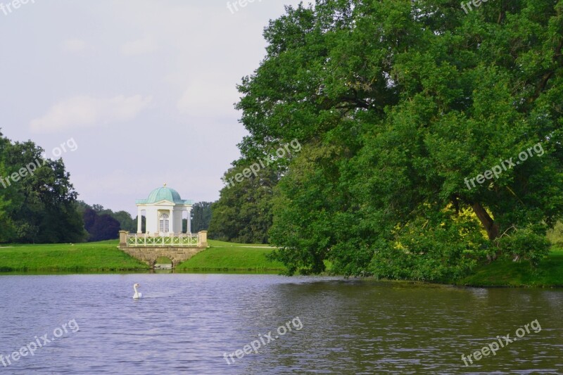 Swan Karlsaue Kassel Pond Hesse