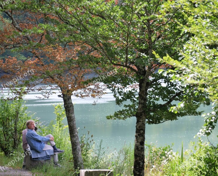 Calm Holiday Lake Pause Landscape