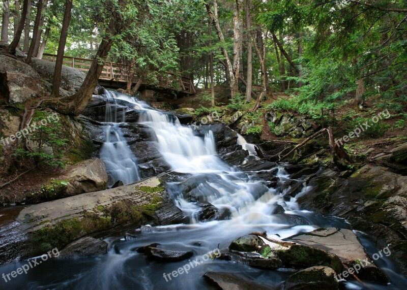 Creek River Waterfall Forest Blurred