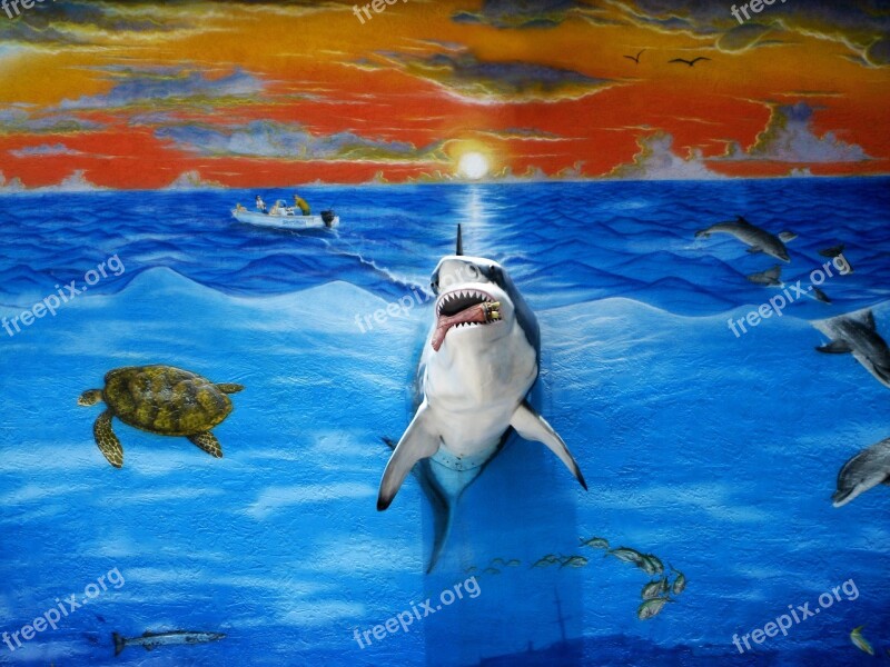 Three Dimensional Mural Florida Keys Shark Painting Turtle