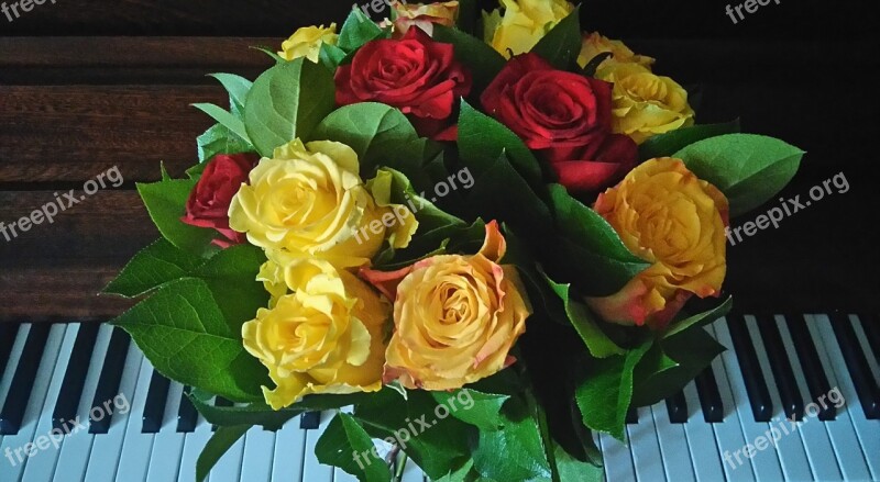 Roses Piano Flowers Music Keys