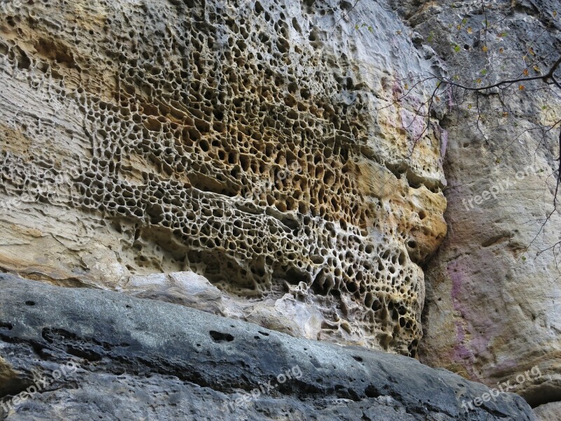 Honeycomb Erosion Saxon Switzerland Sand Stone Pattern Free Photos