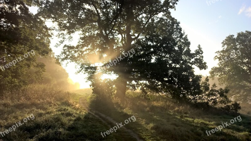 Eng Wood Sol Landscape Oak