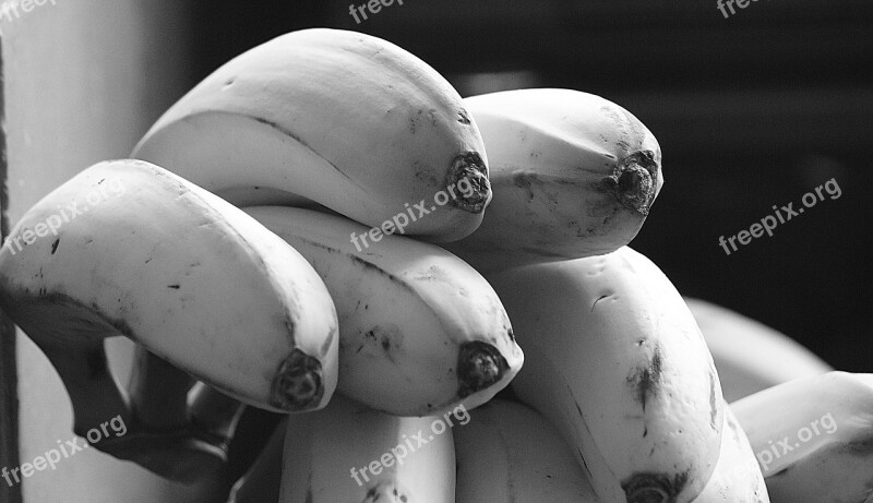 Image Black And White Banana Banana Tree Fruit