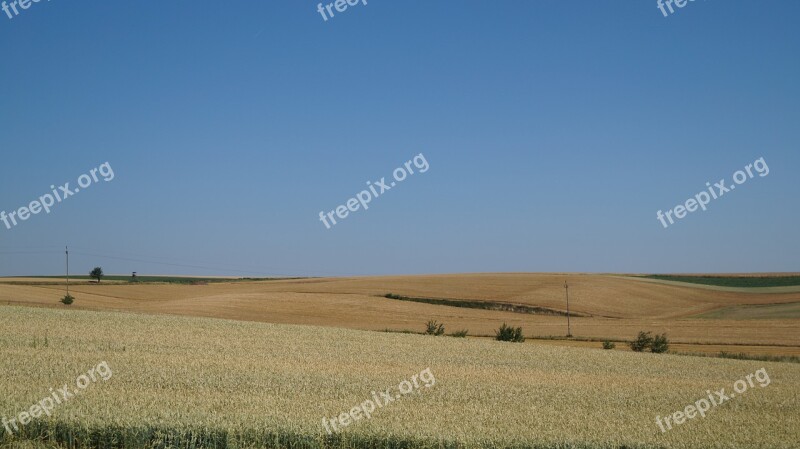 Field Summer View Agriculture Village