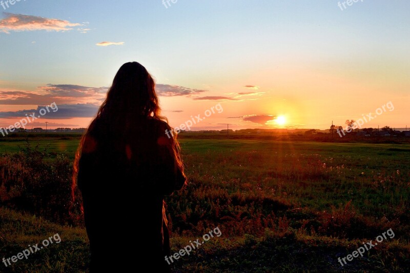 Sunset Nature Summer Evening Free Photos