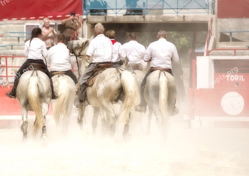 Arenas Camargue Horses Gardians Free Photos