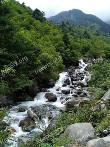 Horn River Green Scenery Streams Free Photos