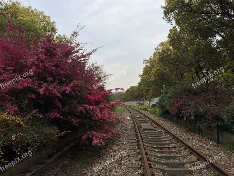 Shanghai Jiangwan Town Metro Station Nearby Abandoned Railroad Tracks Free Photos