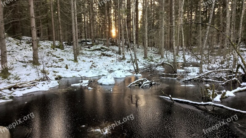 Winter Frozen Lake Ice Cream Forest