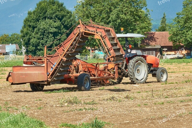 Agriculture Tractor Vehicle Agricultural Machine Oldtimer