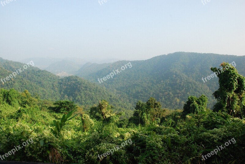 Thailand Rainforest Tropics National Park Khao Yai National Park