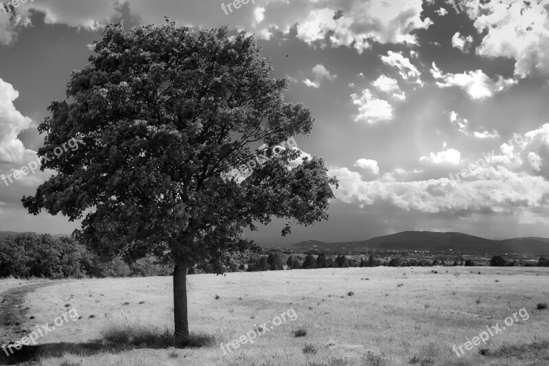 Landscape Black White Minimal Field Free Photos