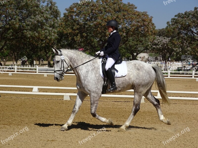 Horse Show Grey Equestrian Rider