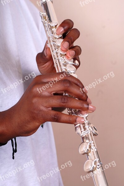 Flute Silver Playing Instrument Flutist