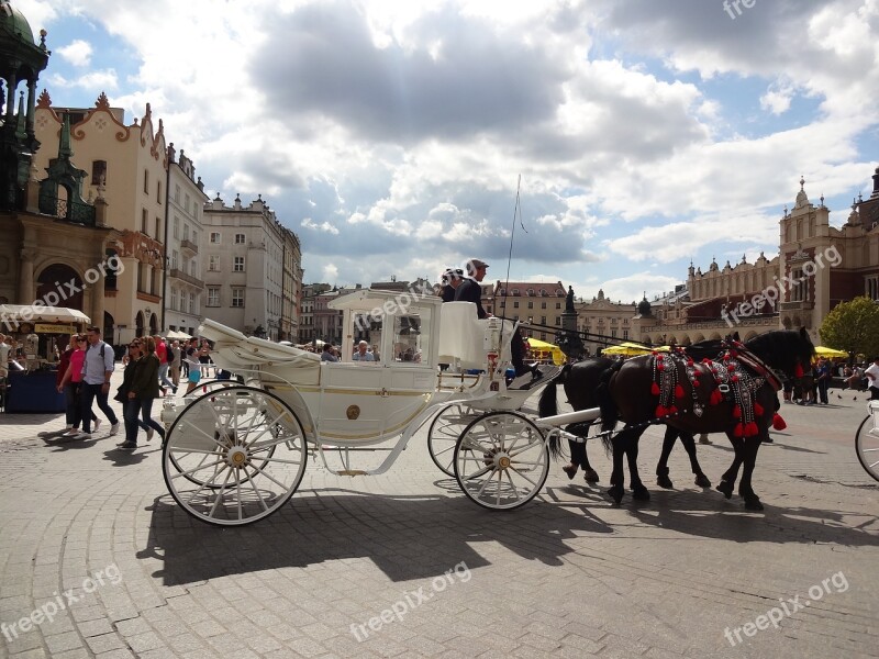 Kraków Sky Poland Horses The Horses Are