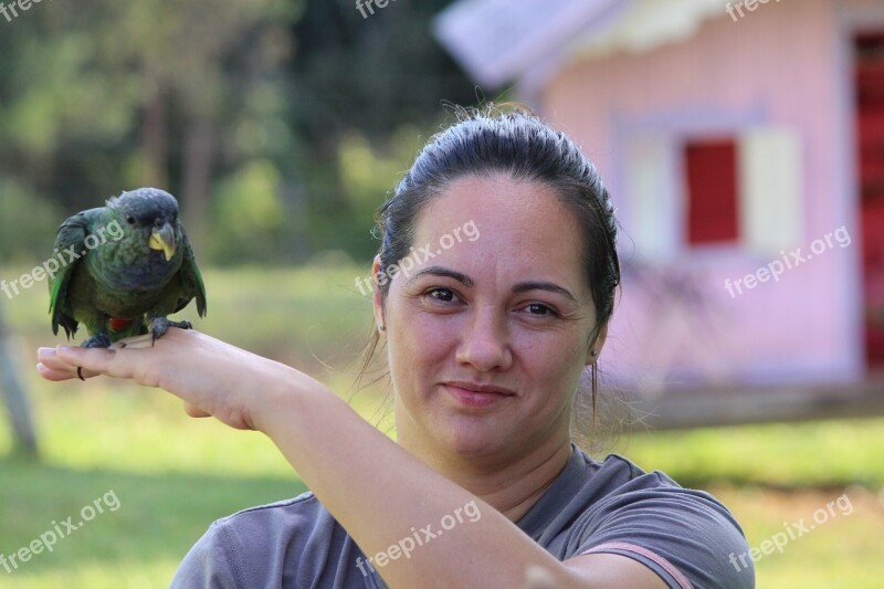 Bird Parrot Tropical Birds Maritaca Birds