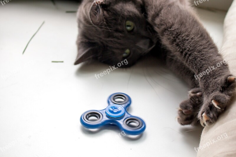 Spinner Cat Toy The Top Grey